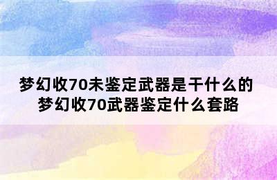 梦幻收70未鉴定武器是干什么的 梦幻收70武器鉴定什么套路